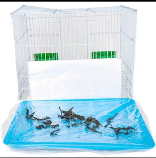 (Category: ) located in . Submitted by goodypets (Listing ID 1180360719, Image 1). Description: .
