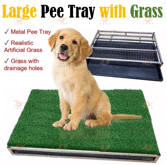 Large Metal Pee Tray with Grass Dog Potty Training, Pet Supplies, Homes