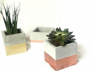 Minimalist Concrete Pots (for small plants and succulents)