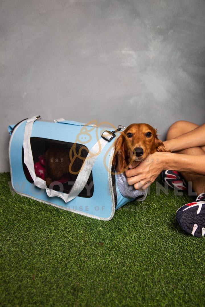 Pet Carrier with Head Hole, Pet Supplies, Homes & Other Pet Accessories