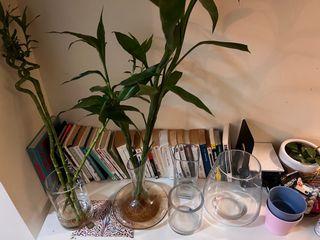 （分類：）位於 。 由 rainalin966 提交（商品編號 1180454786，圖片 1）。簡介： 。