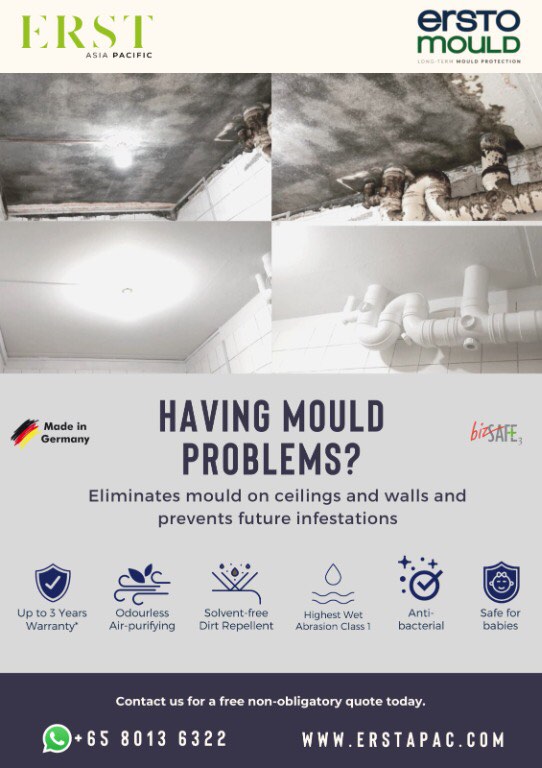 010 MOULD REMOVAL Anti Mould Wall & Ceiling Painting Services, Home