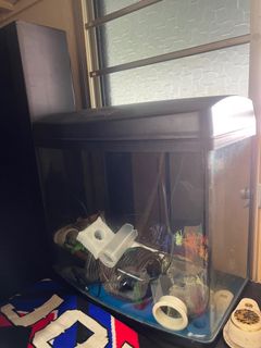 (Category: ) located in . Submitted by somebody7311 (Listing ID 1180531311, Image 1). Description: .