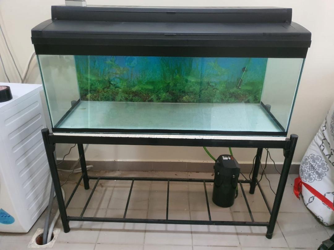 4 ft fish tank full set