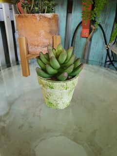 (Category: ) located in . Submitted by coolflower_beaf96 (Listing ID 1180556706, Image 1). Description: .