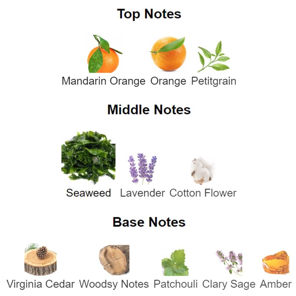 Bvlgari aqva notes discount