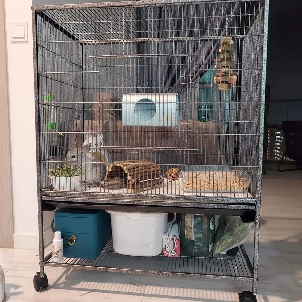Chinchilla cage with acrylic tray, Pet Supplies, Homes & Other Pet