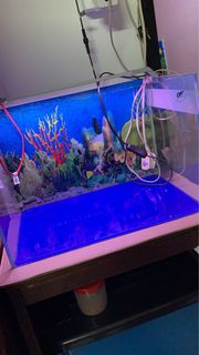 (Category: ) located in . Submitted by kellylpw (Listing ID 1180643587, Image 1). Description: .