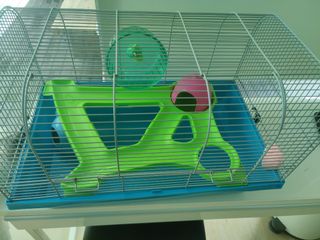 (Category: ) located in . Submitted by benyfrog (Listing ID 1180597034, Image 1). Description: .