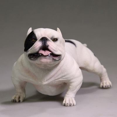 American Bully Dog 2.0 002 (Brown) 1/6 Scale Figure