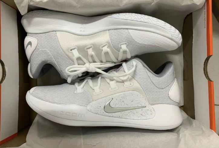 Nike Hyperdunk X Low 10 White Pure Platinum