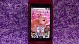 Softbank 008SH flip phone
