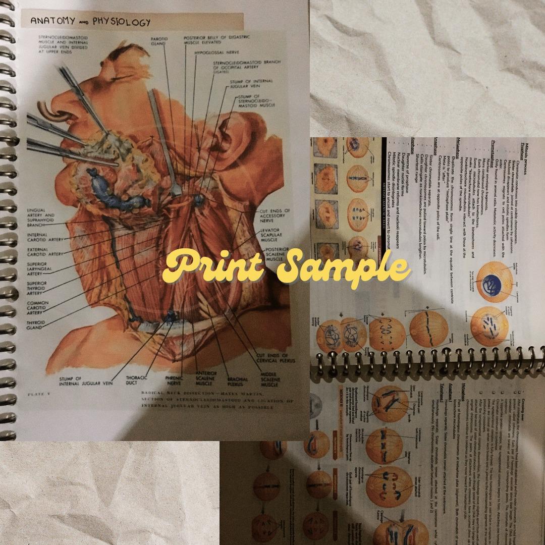 ust-shs-notes-general-mathematics-for-grade-11-with-tips-sample