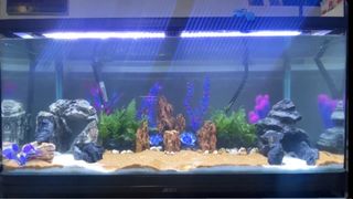 (Category: ) located in . Submitted by desosecretcave (Listing ID 1180865165, Image 1). Description: .