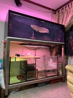 (Category: ) located in . Submitted by wheeler68 (Listing ID 1180870229, Image 1). Description: .
