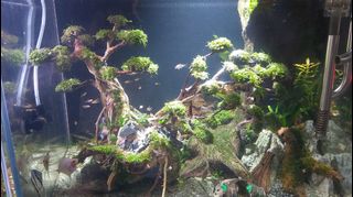 (Category: ) located in . Submitted by sam152 (Listing ID 1180565007, Image 1). Description: .