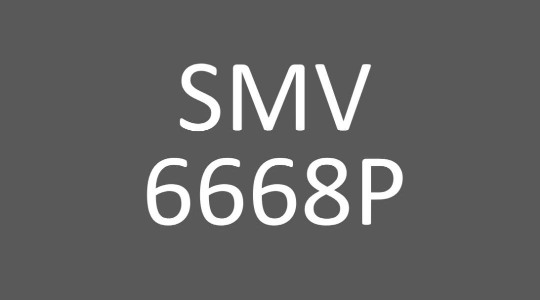 Auspicious Car Plate number for Sale SMV6668P, Car Accessories, Car