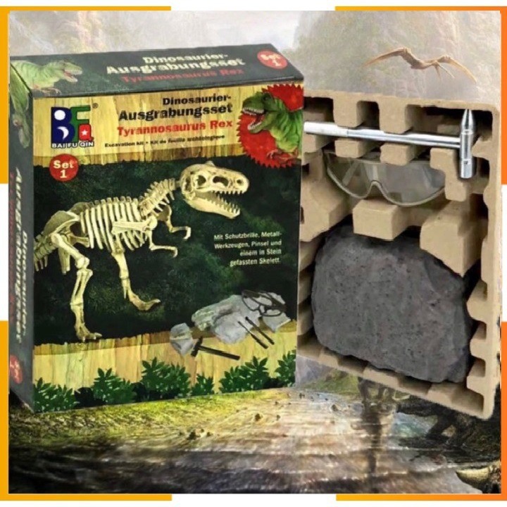 Dinosaur Fossils Toy Digging Tools Deluxe Editions with Glass ...
