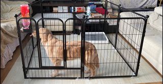 (Category: ) located in . Submitted by vic.chan (Listing ID 1180557300, Image 1). Description: .