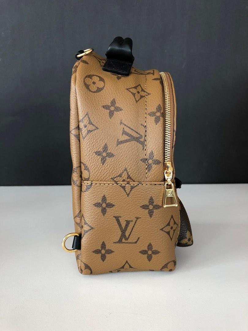 Louis Vuitton Palm Springs Mini Reverse Reviewer