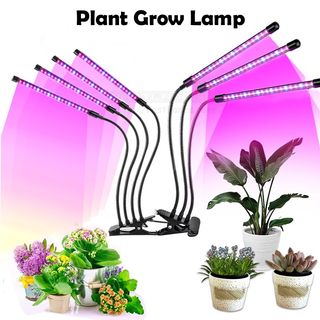 (Category: ) located in . Submitted by pastlanes (Listing ID 1180814536, Image 1). Description: .