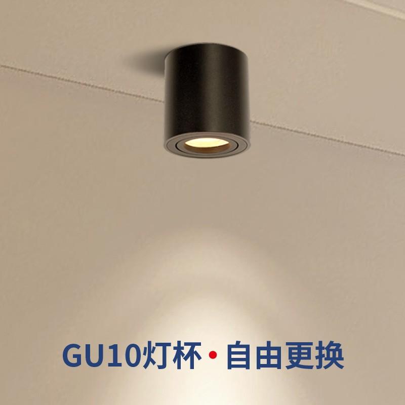 SKU D009Cylinder canister surface mounted ceiling light toilet light walkway light minimalist