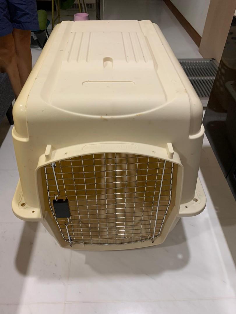 Airline approved dog crates for sale, Pet Supplies, Homes & Other Pet