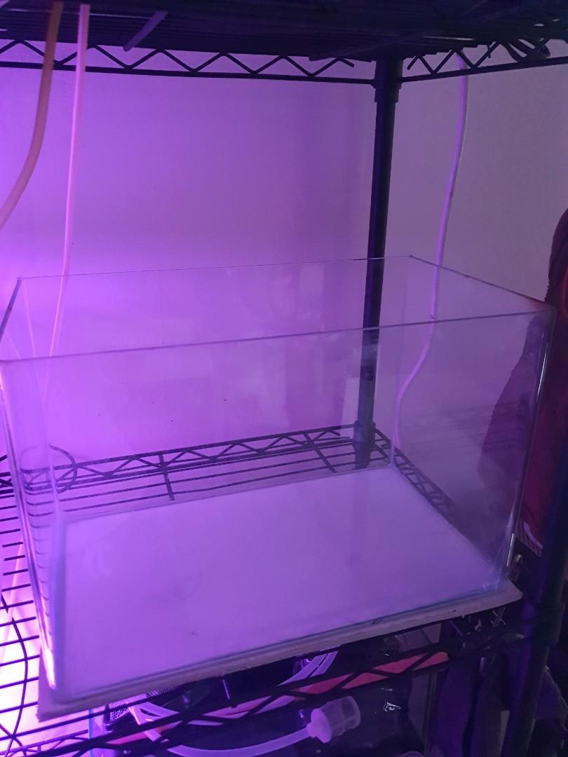 Aquarium supplies, Pet Supplies, Homes & Other Pet Accessories on Carousell