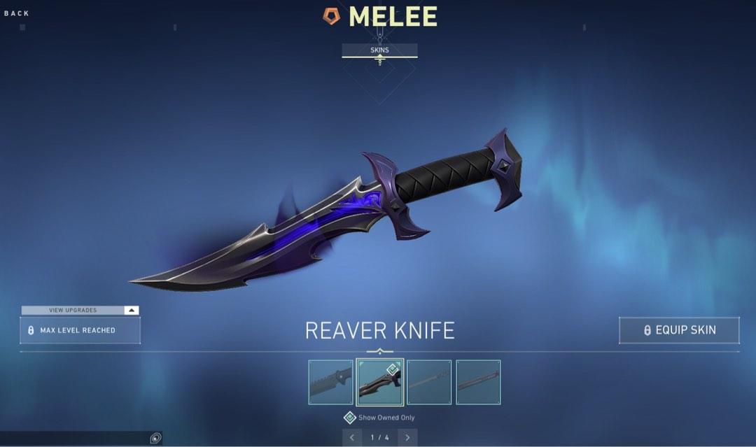ARCANE BUNDLE 14 PREMIUMS VALORANT ACCOUNT, Video Gaming, Gaming