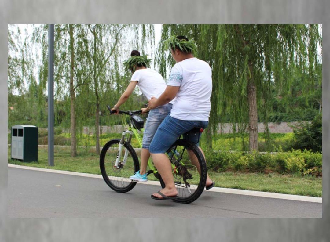 Bicycle Luggage Carrier, Powerful 50kg/110lb High Load High Strength