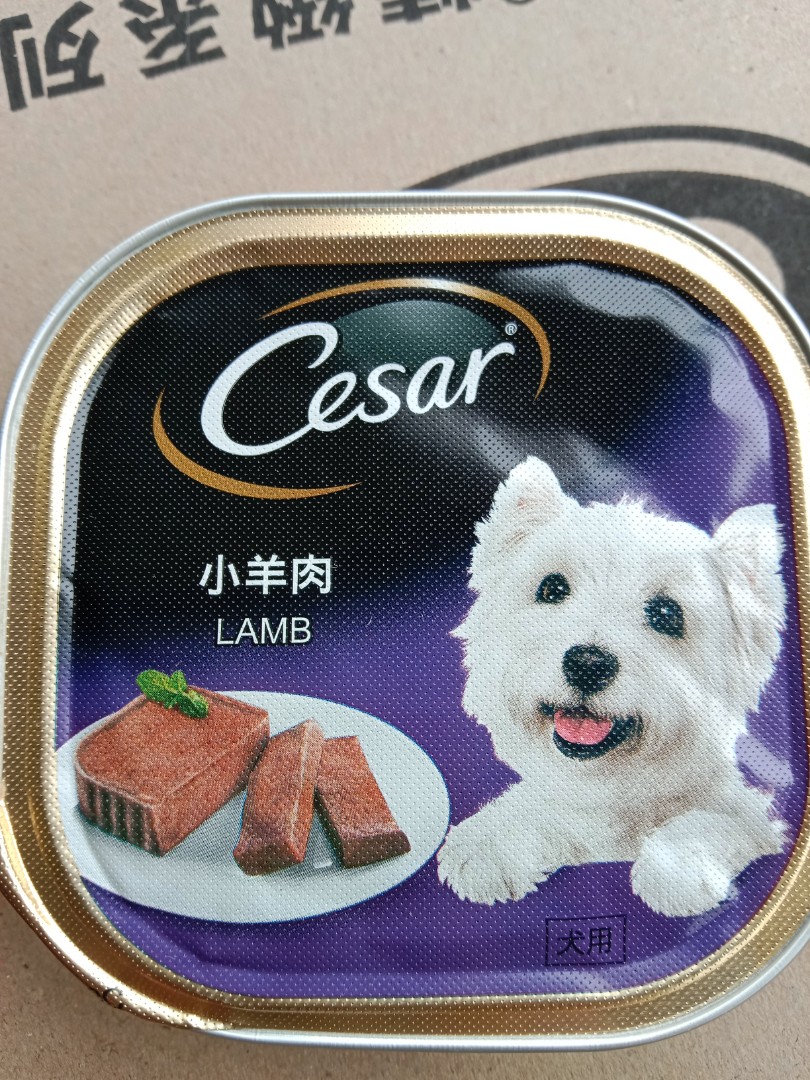 Cesar Lamb, Pet Supplies, Pet Food On Carousell