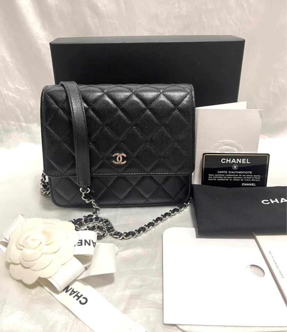 CHANEL REVEAL Square WOC Wallet on Chain  First Impressions Comparison  What Fits Modshots  YouTube