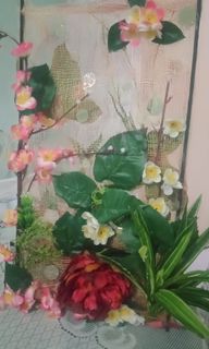 (Category: ) located in . Submitted by mayazain23 (Listing ID 1180956676, Image 1). Description: .