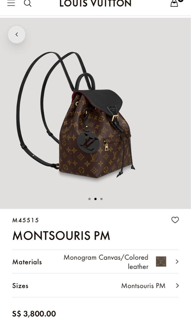 Louis Vuitton 2022 Monogram Montsouris PM Backpack w/ Receipt