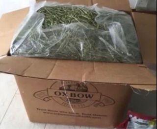 Oxbow Timothy Hay