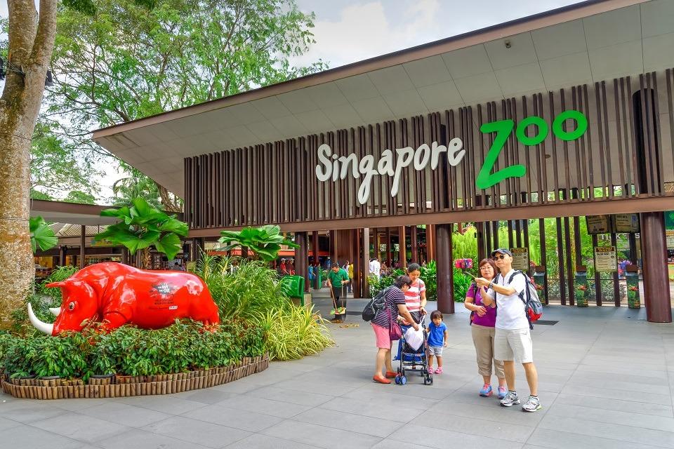 Singapore Zoo Tickets with Tram Promotion!!!, Tickets & Vouchers, Local