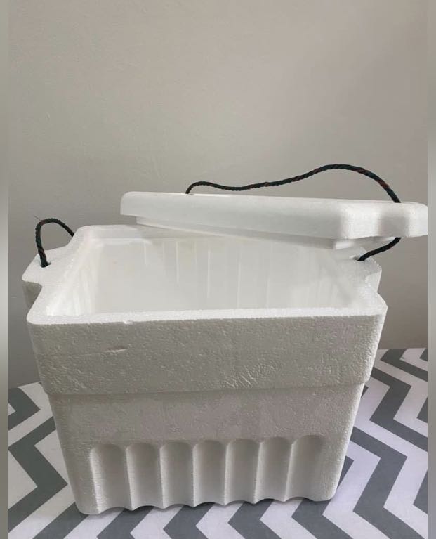 Styrofoam Ice Box Small (Qty 2), Furniture & Home Living, Kitchenware