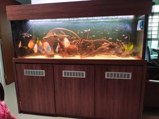 (Category: ) located in . Submitted by daus.efasingapore (Listing ID 1181171581, Image 1). Description: .