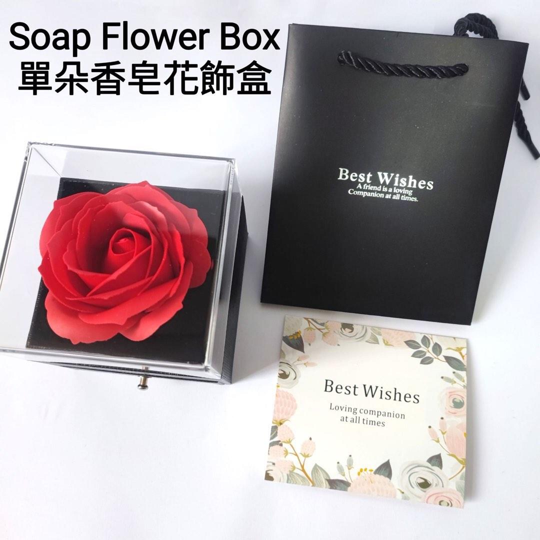 SILVER～ROSE 銀薔薇 LED FREEDOM 配布CD Laputa ROUAGE