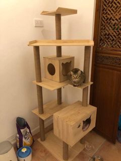 （分類：）位於 。 由 tiffccsuen 提交（商品編號 1181295547，圖片 1）。簡介： 。