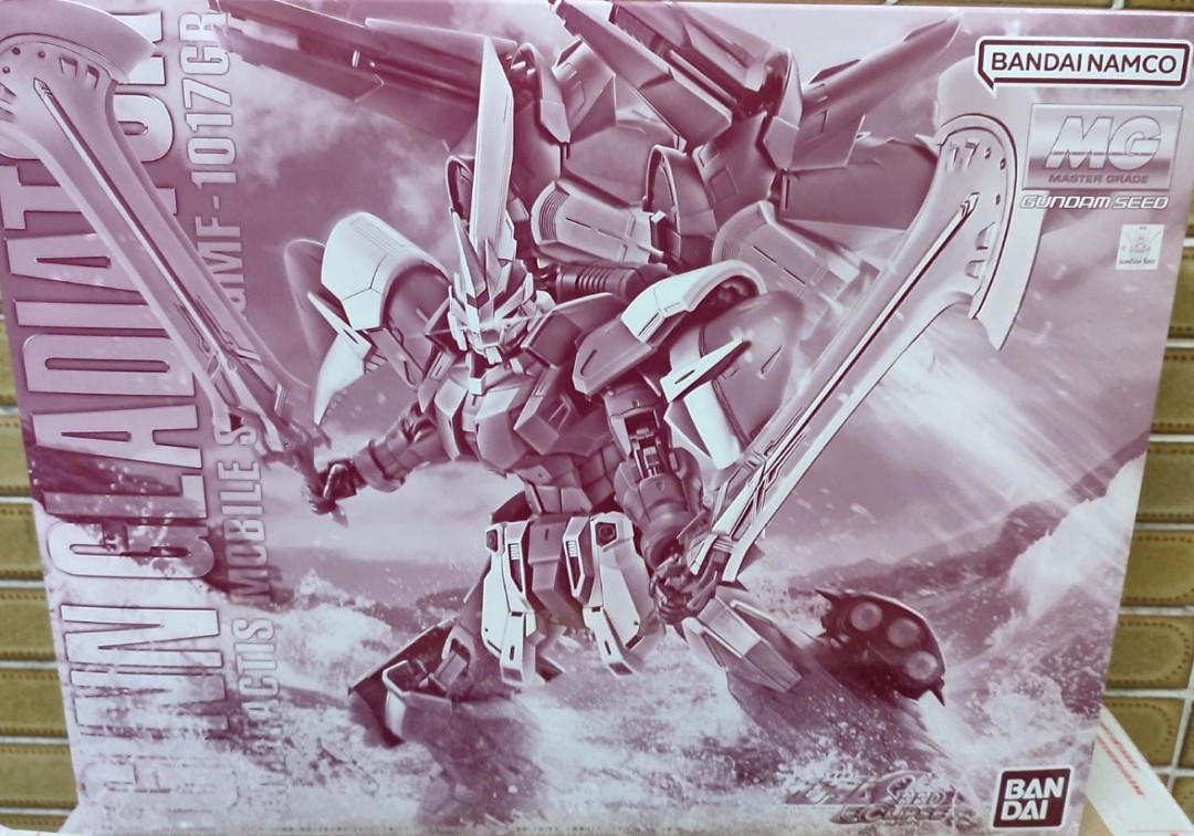 全新MG GINN GLADIATOR ZGMF-1017GR 基恩劍鬥士Gundam Seed 1/100