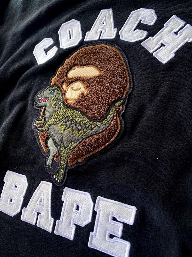 Bape x coach sweater