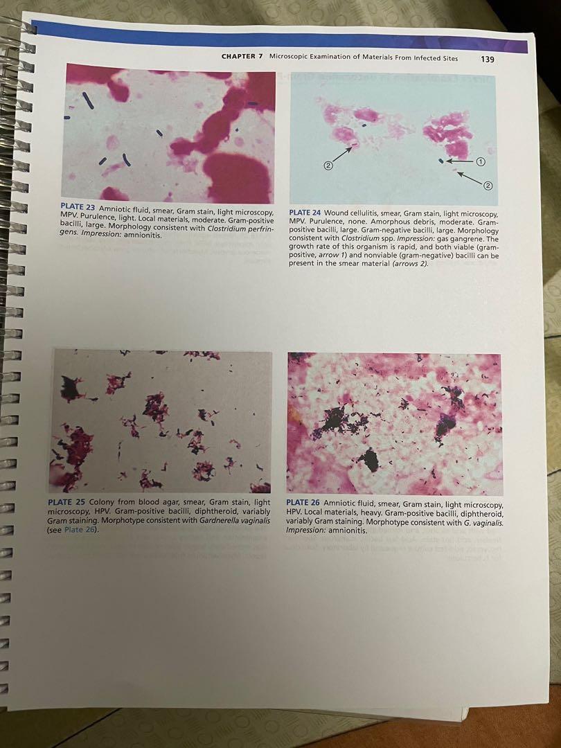 Bishop Clinical Chemistry Cc Hobbies Toys Books Magazines Bishop Clinical Chemistry Cc Hobbies Toys Books Magazines