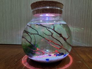 (Category: ) located in . Submitted by WorldOfShrimpx (Listing ID 1181277108, Image 1). Description: .