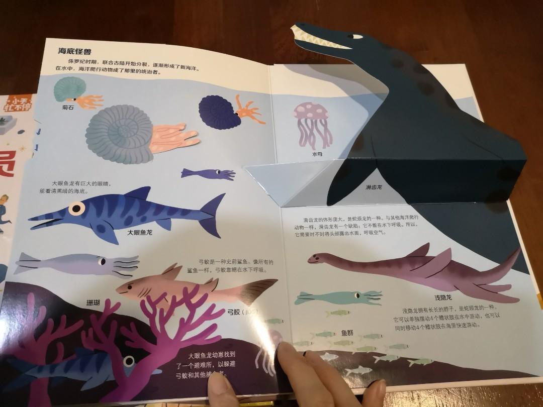 Flip flap pop up book, Hobbies & Toys, Books & Magazines, Children's Books on Carousell