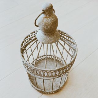 （分類：）位於 。 由 godlives 提交（商品編號 1181182388，圖片 1）。簡介： 。