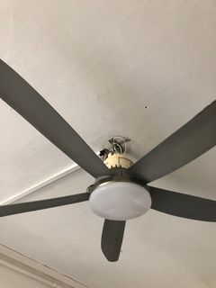 (Category: ) located in . Submitted by stranger101 (Listing ID 1181169811, Image 1). Description: .