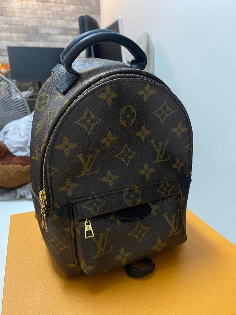 Louis Vuitton Palm Springs Mini Backpack, Luxury, Bags & Wallets on  Carousell