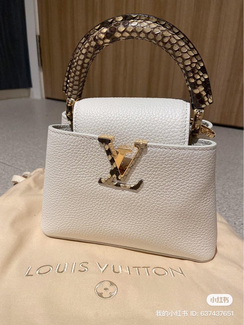 Louis Vuitton Capucines Handbag Python Mini at 1stDibs  lv capucines  snakeskin, louis vuitton capucines mini python, lv capucines mini python