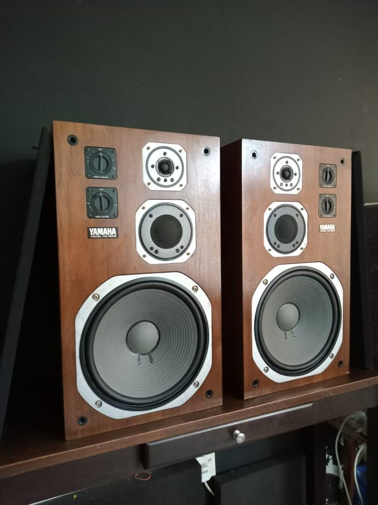 Yamaha ns690iii 2025
